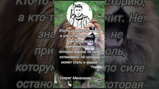 история