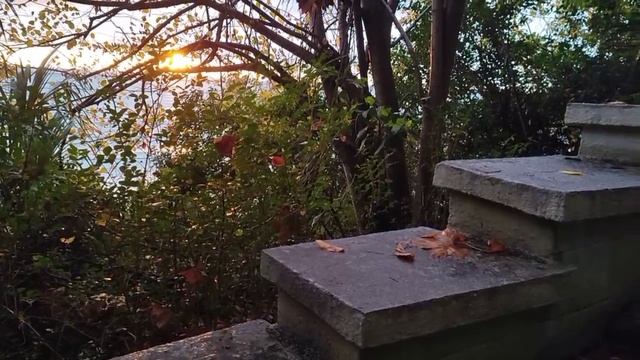 ТЕРРЕНКУР ИЛИ ТРОПА ЗДОРОВЬЯ. ПУТЕШЕСТВИЯ ПО СОЧИ.
Муз., сл. Сергея Кузнецова - "Старый _2024-12-14.