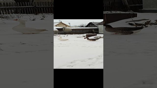 1000009398.mp4