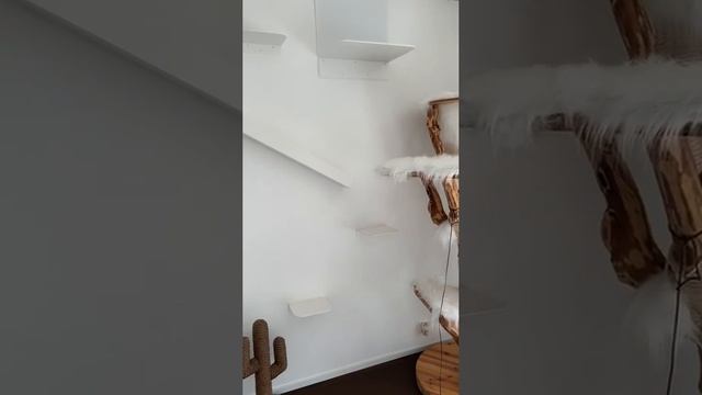 Как выглядят выброшенные на ветер деньги.