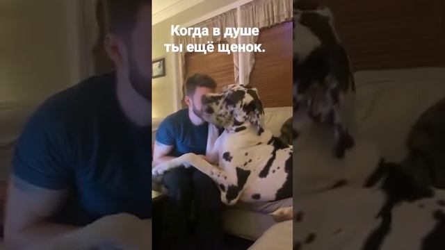 1000068412.mp4