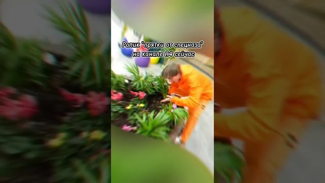 ТРОГАТЕЛЬНЫЙ МОМЕНТ С КОМАНДОЙ А4