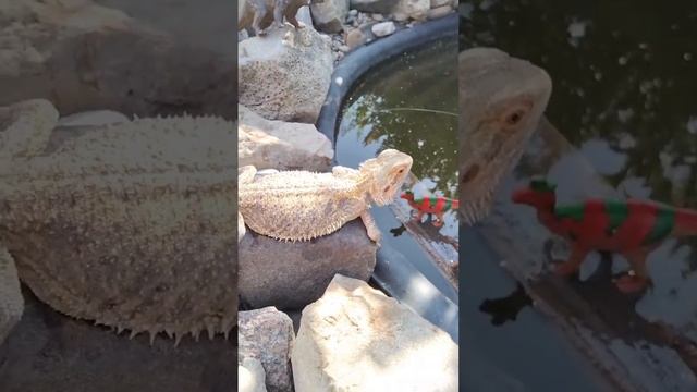 СтешаLife.серия 2