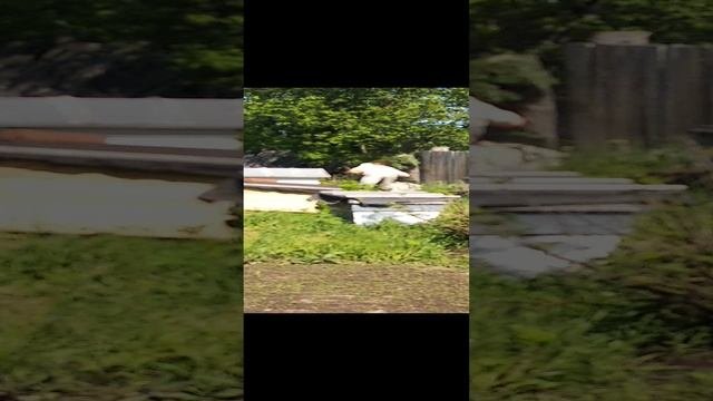 1000000167.mp4