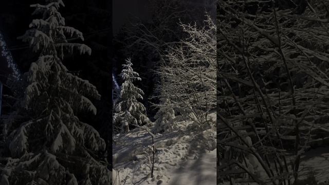 Еще одно чудесное до/после с новогодним освещением!