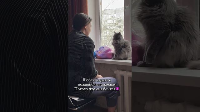 Битва взглядов!