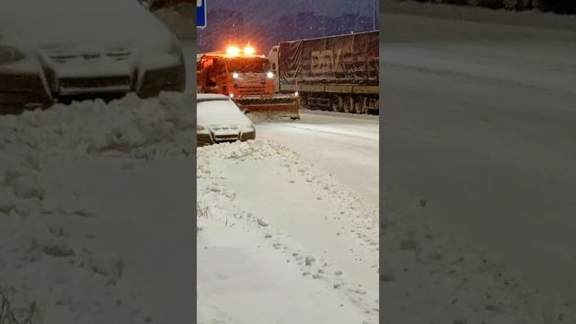 Прогулка из Ленобласти в Санкт-Петербург