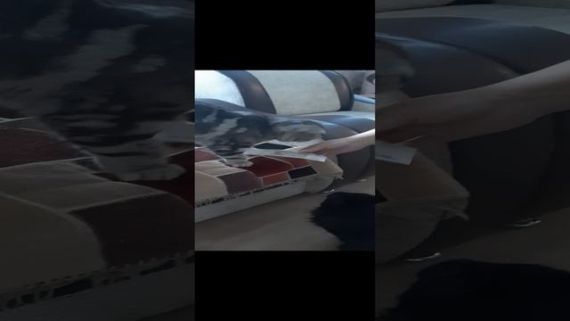 20221224_091001.mp4
