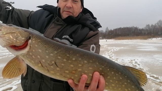 Видеоотчет о рыбалочке от 11.12.2024, щука, жерлицы и не только...