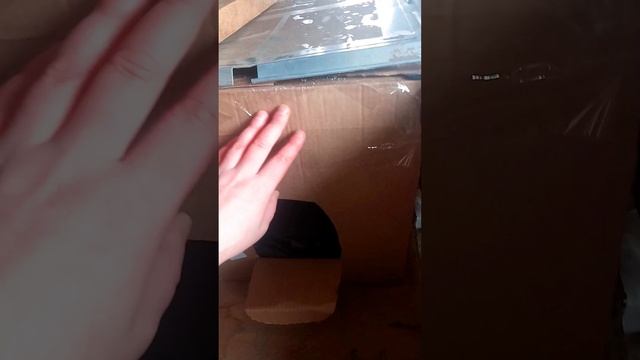 Временная Канура для Бездомыша #помощьживотным #доброедело