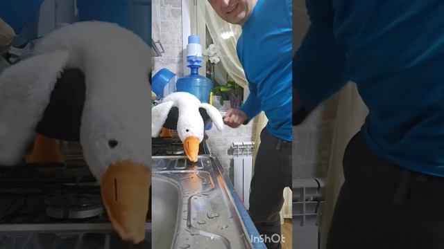 гусь прямо в суп