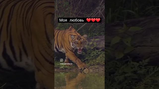 😻😻😻😻😻😻😻😻😻😻😻😻