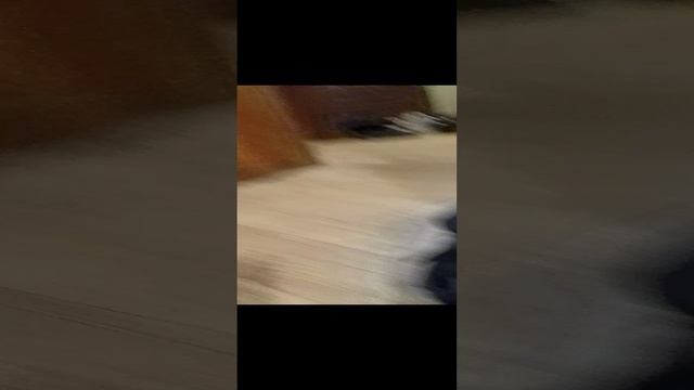 чё я купил