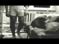 DEFERENTEST pictures (art house home-video) PAIN