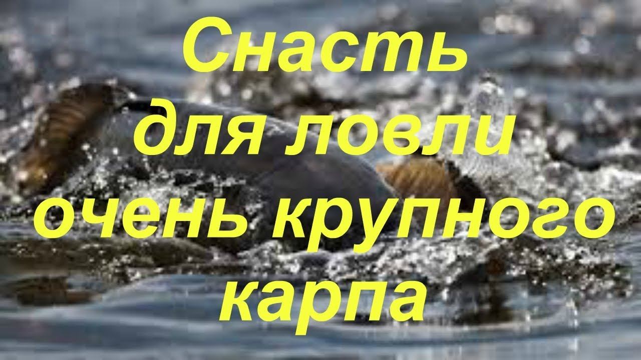 Обзор снасти. Ловля карпа, карася на бутылку.  Супер уловистая снасть. Ловля огромных карпов.