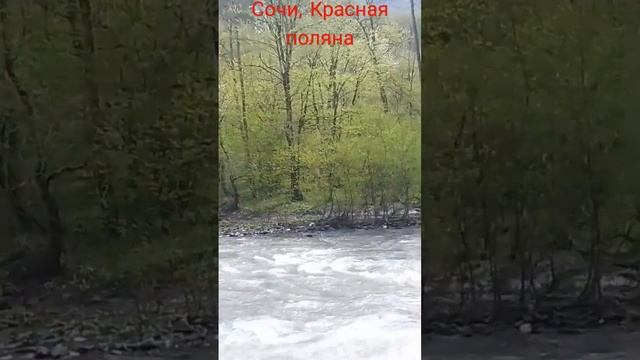 Сочи, красная поляна, река мзымта