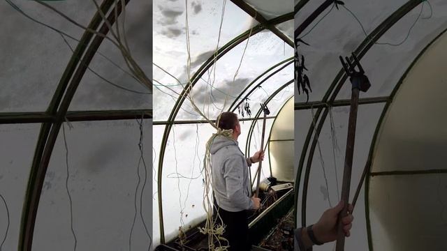 Как почистить длинной тяпкой прозрачный плёначный парник ?)
