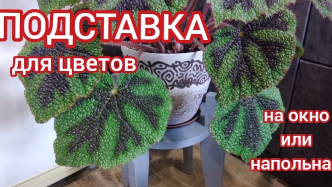Заказала подставку для цветов. Бегония Мэсона очень рада