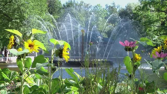 г Санкт-Петербург . №2  Peterhof .