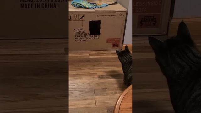 Чёртов Малевич!