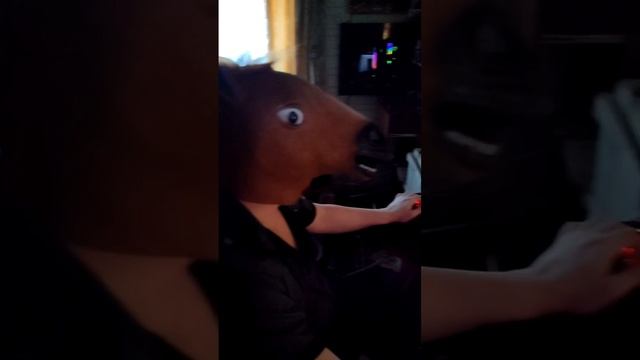 конь.mp4