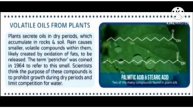 Smell of Rain, Femi John, II M.Sc. Chemistry, B.K. College, Amalagiri.
