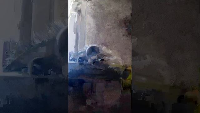 новость