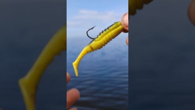 Как надеть на крючок виброхвост ?) АСМР видео)