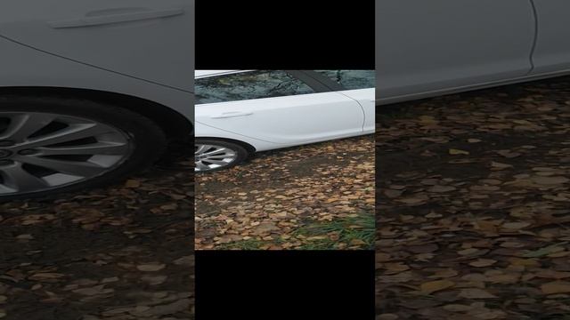 MOV_0001_6.mp4