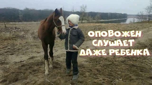 готово.mp4