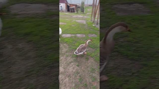 Пораааа, в путь дорогу