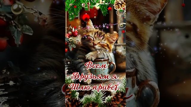 #добрыйвечер #воскресенье