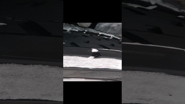 VID_20241215_153049.mp4