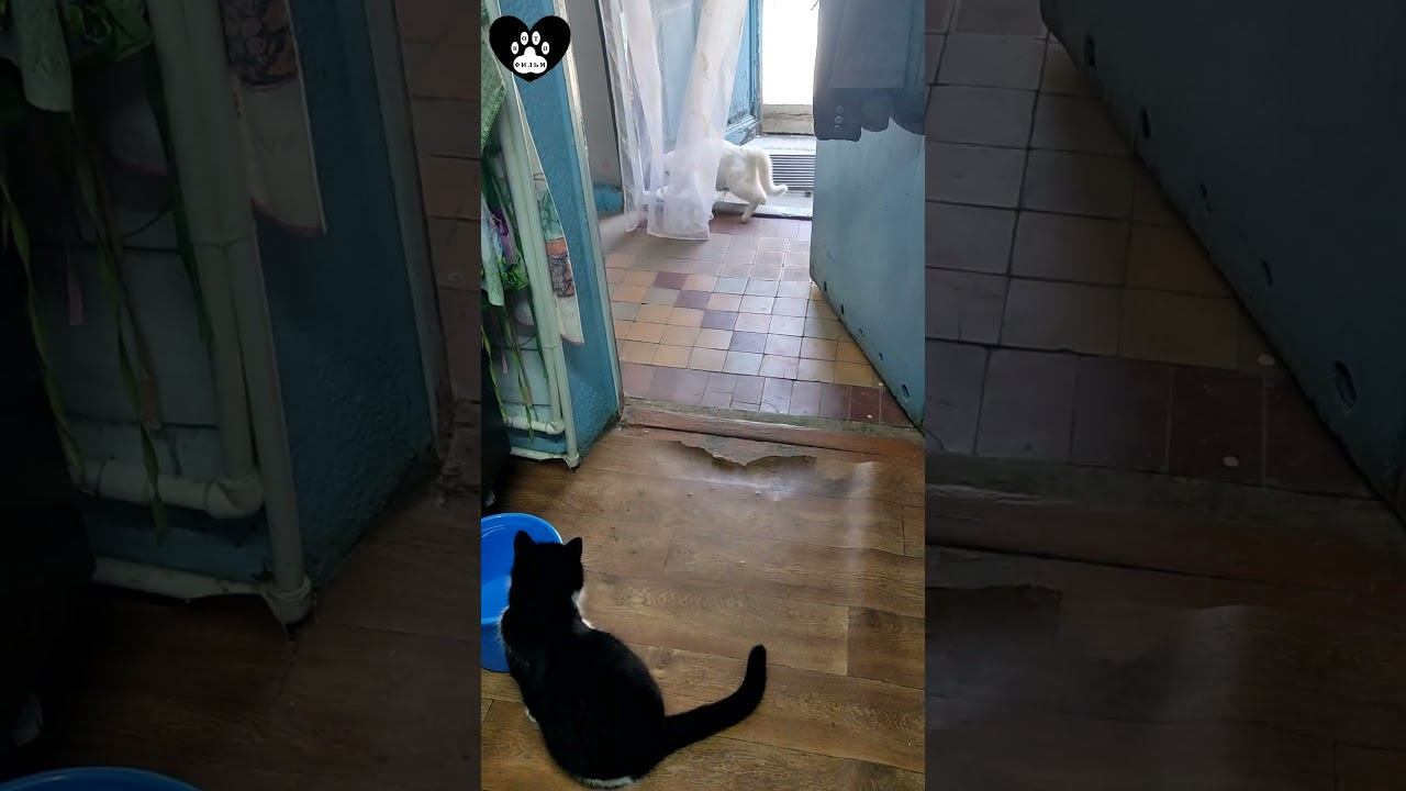 Мне идёт фата, когда я в качестве активной невесты?