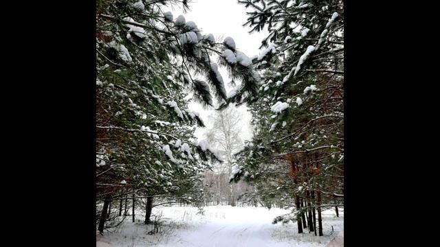 15-12-2024 День в р.п. Сынтул