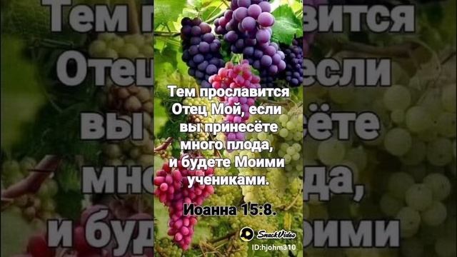 20241215_144954114.jpg_play.mp4_logo_RU.mp4