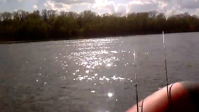 GROUPER 330  + Honda 5