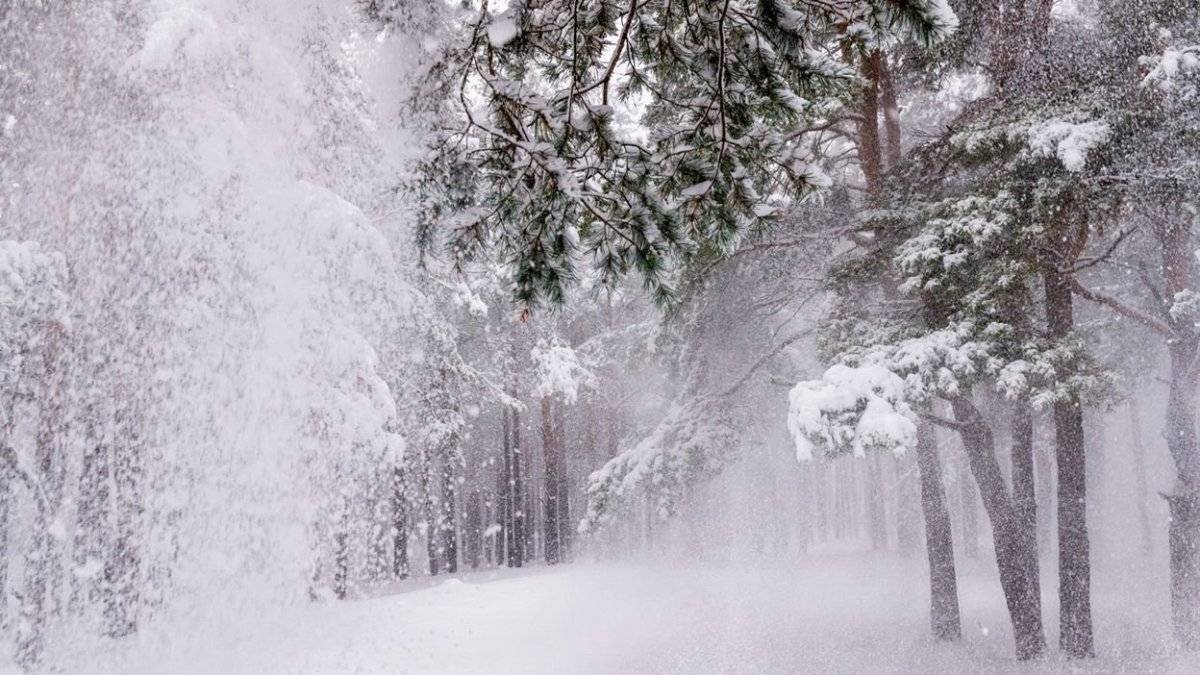Ой, завьюжила, запорошила. Поёт Валентина Дробышева