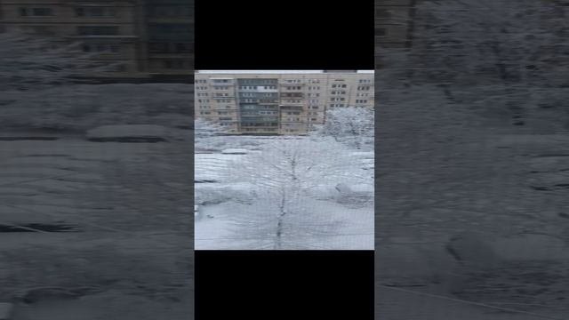 Сколько снега навалило