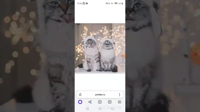 парные авы на новый год 🎄