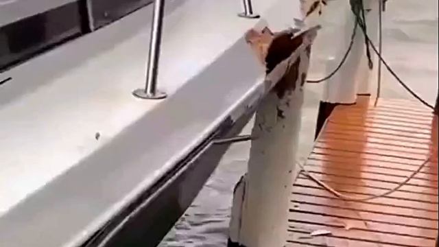 Не переживайте, они себе ещё купят...