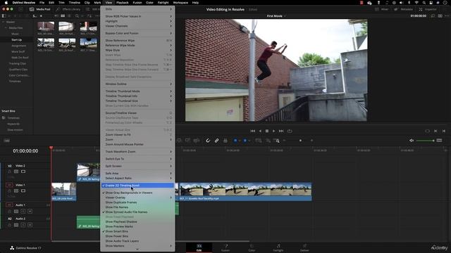 61 - Timeline Zooms Previews
