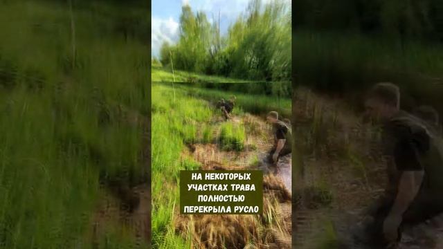 Как очистить водоём от травы ?) #shorts