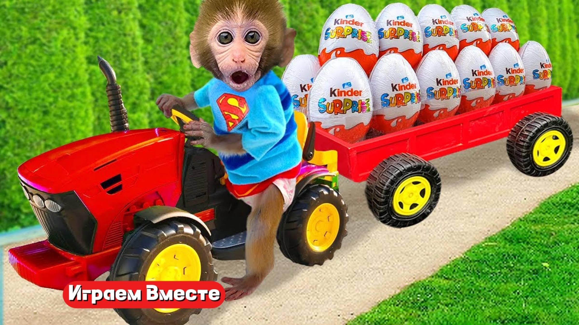 Играем вместе с Обезьянкой ! Нашли КУЧУ КИНДЕРОВ ! Трансляция