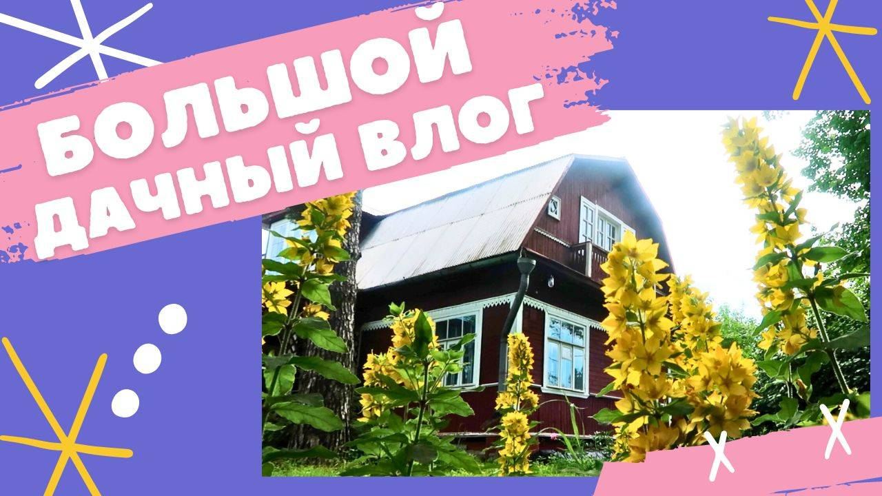 Большой дачный влог: взяли третью кошку, пилим деревья, наш огород