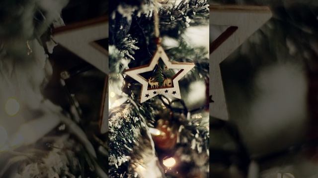 контент.mp4
