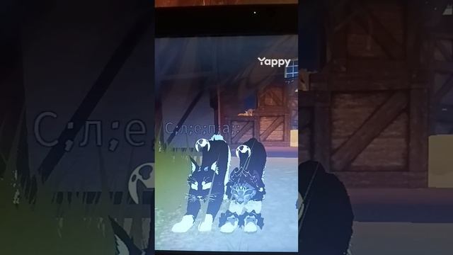1006819103.mp4