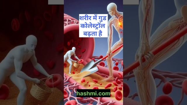 रोज़ाना एक उबला हुआ अंडा खाने से