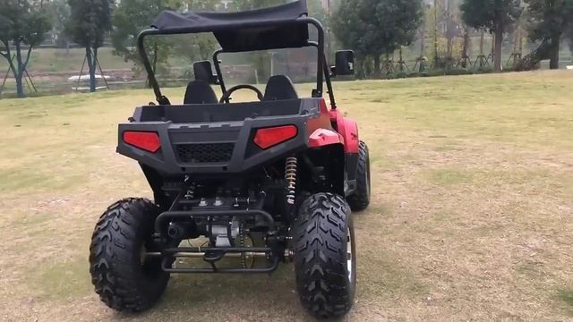 UTV 200cc  баги