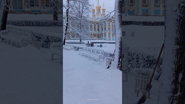 Снег в Питере